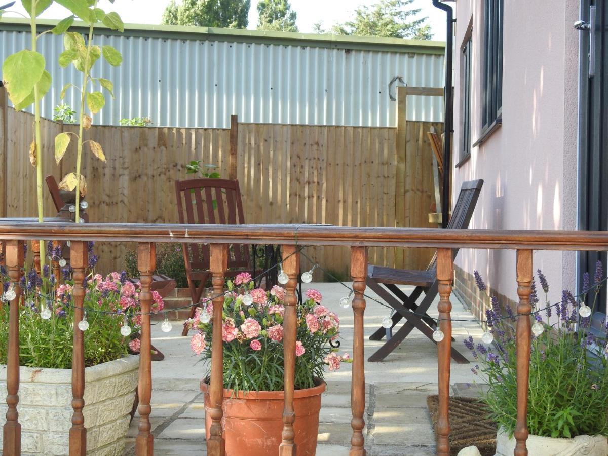 The Shed @ Stares Farm Cottage Shedfield Extérieur photo